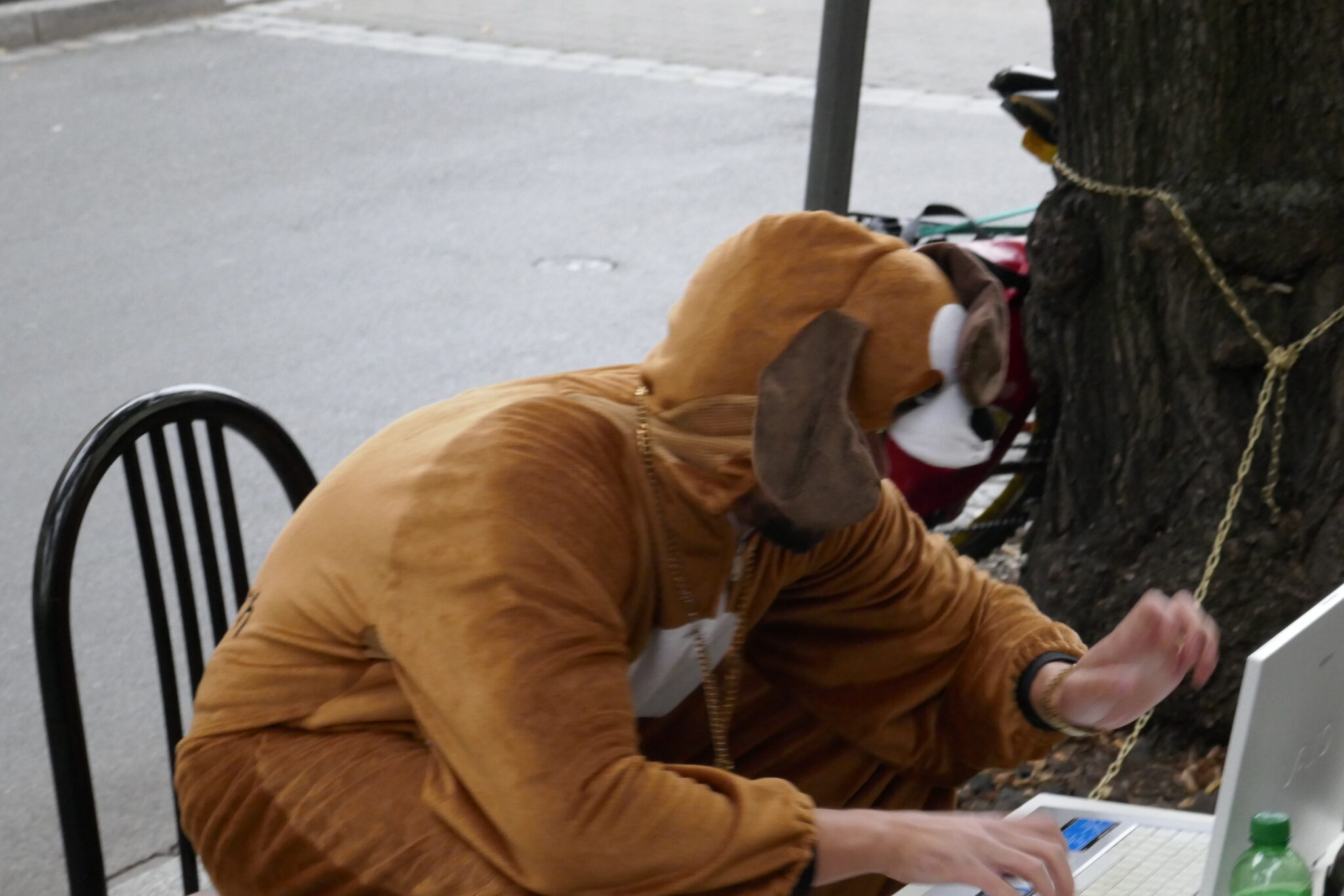 GLAF2019BaumscheibenHumboldtstraße©HaraldSchmidt (37)